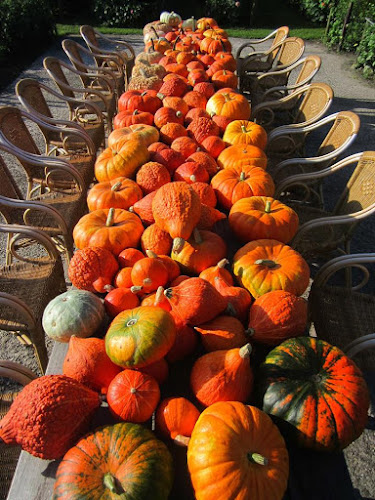 Opinii despre Pluktuin Stoutenburg în Stoutenburg - Horeca