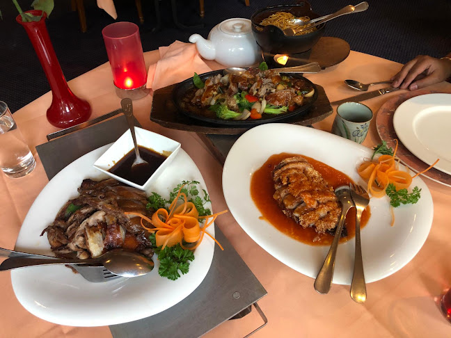 Lotus Sakura - Horeca