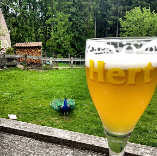 Boscafé 't Hijgend Hert - Vijlen