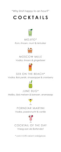 Shake Kings | Mobile Cocktail Catering | Cocktail workshops | Barverhuur Bedrijf