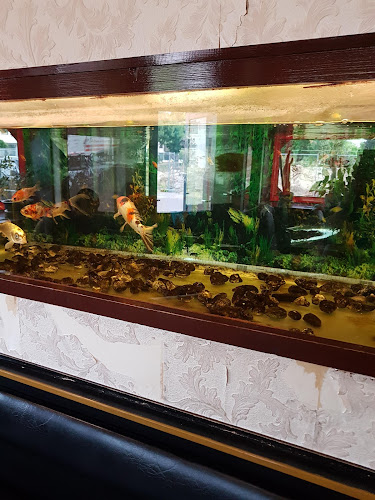 Opinii despre Double Dragon în Bunde - Horeca