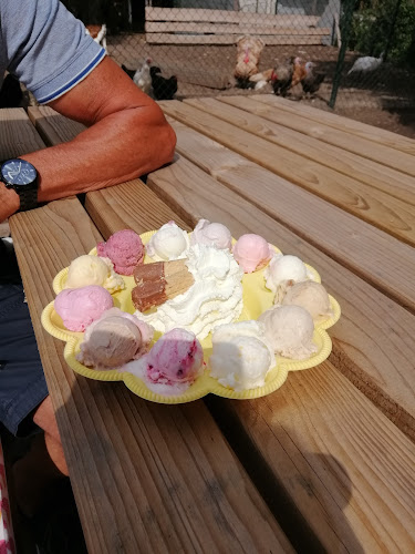 Comentarii opinii despre IJsboerderij en Minicamping De Koehoorn