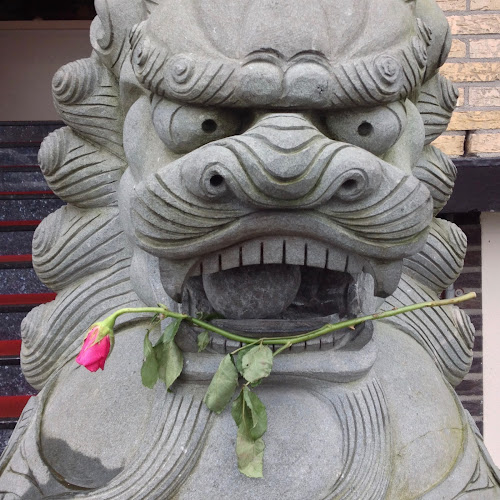 Lotus Sakura - Horeca