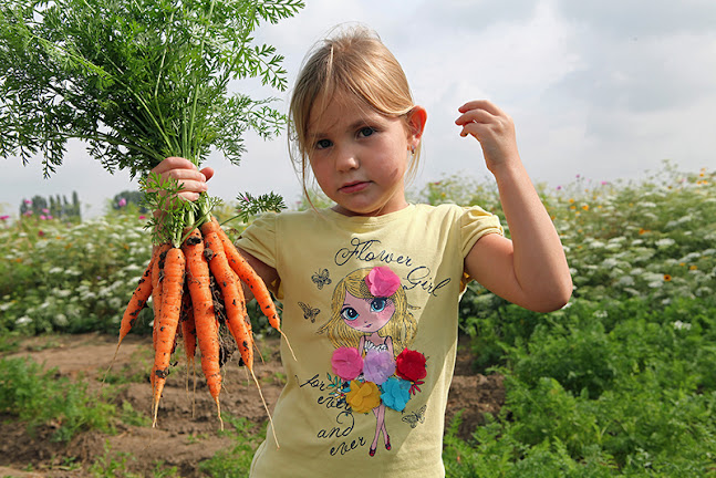 Beleef Het En Eet Het - Strijen
