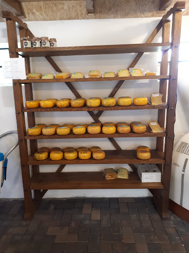 Opinii despre Lyts Buthus în Leeuwarden - Horeca