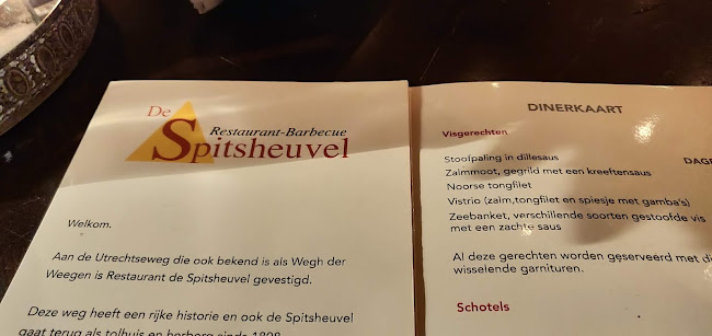 Reviews of Restaurant de Spitsheuvel in Amersfoort - Horeca