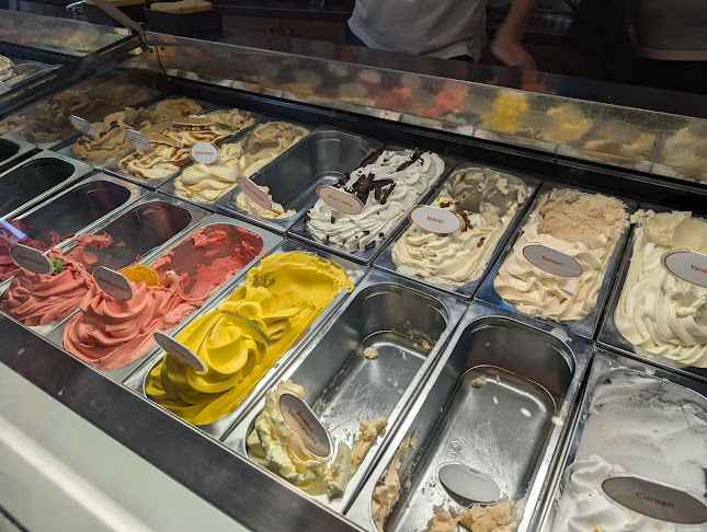 Opinii despre IJssalon Hillegersberg în Rotterdam - Horeca