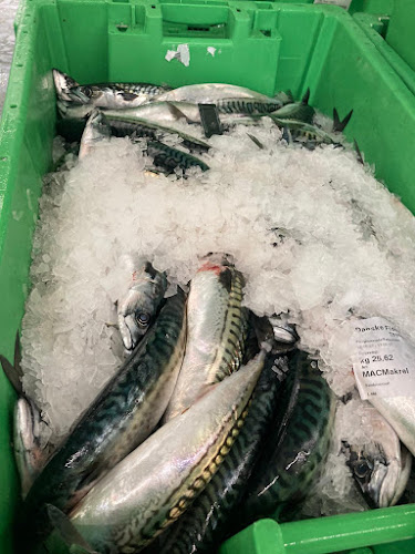 Comentarii opinii despre Visplaza