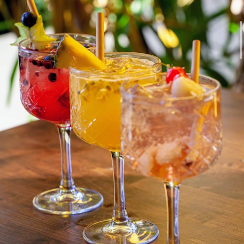 The Wings Paradise Den Haag - Den Haag