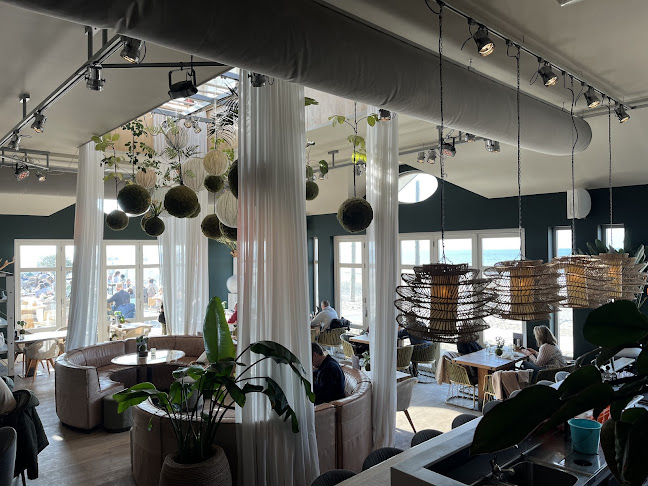 Comentarii opinii despre Alexander Beach Club