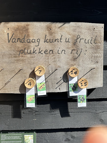 Pluk en theetuin in de 7e Hemel - Horeca