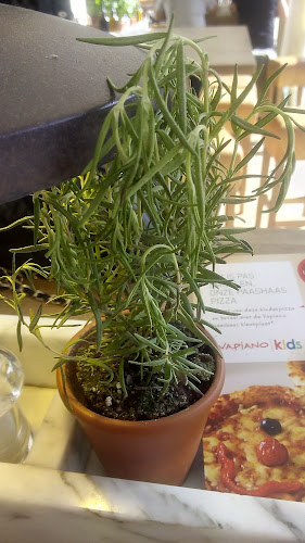 Vapiano Rotterdam Binnenrotte - Horeca