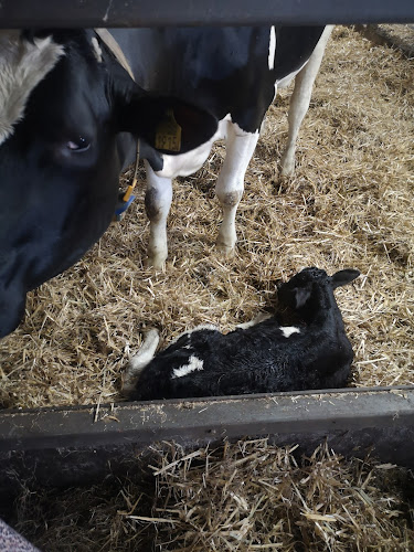 Boerderij Terras de Ritskampen - Horeca