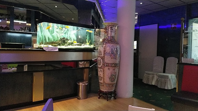 New King Tiu - Horeca