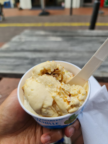 Opinii despre IJssalon Bastani în Eindhoven - Horeca