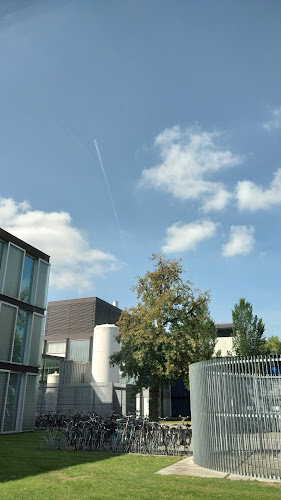 Borrelkelder Beneden Peil - Enschede