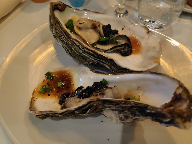 De Nieuwe Chinese Muur