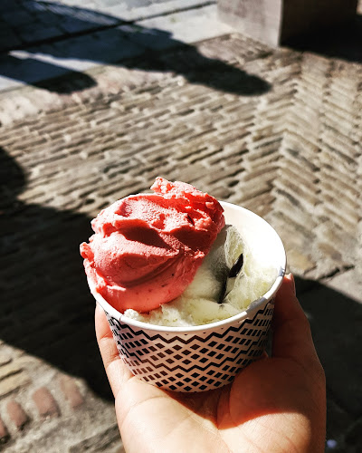 Comentarii opinii despre De IJswinckel Vlaardingen