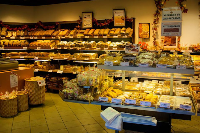 Vermeulen & Den Otter