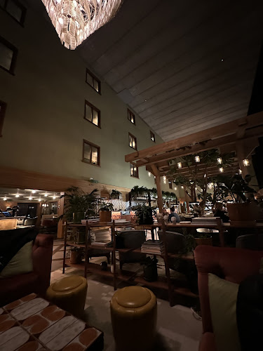 Comentarii opinii despre VESSEL