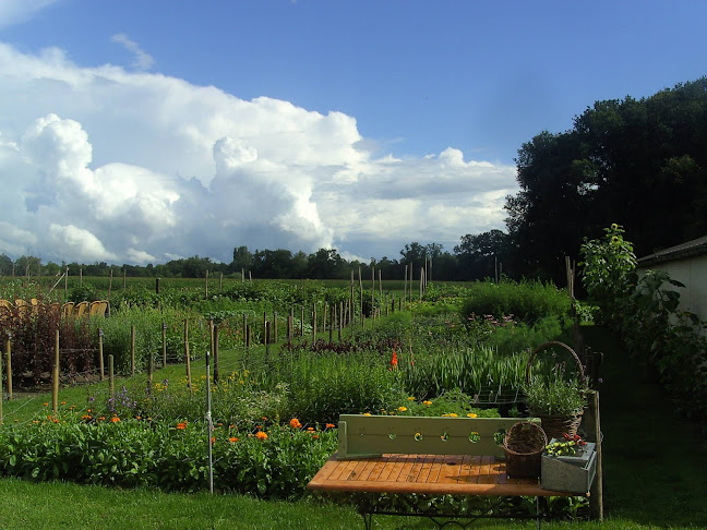 Pluktuin Stoutenburg - Stoutenburg