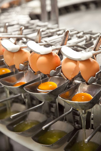 Comentarii opinii despre Banketbakkerij van Strien B.V.