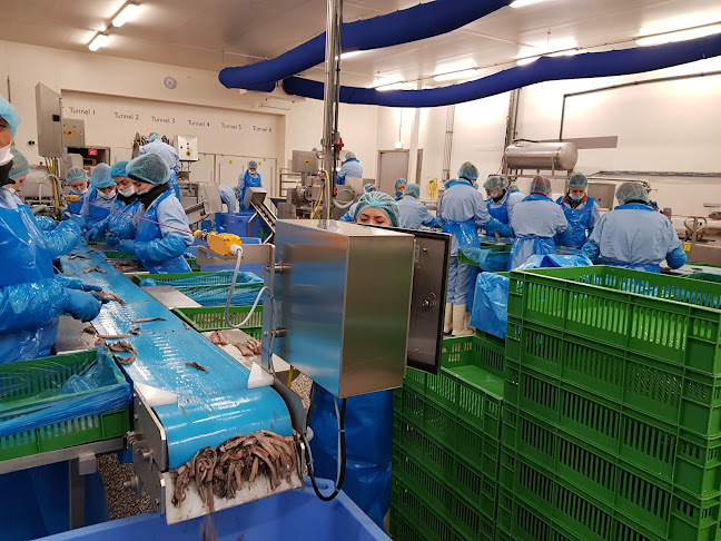 Neptunus BV - Enschede