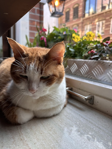 Comentarii opinii despre Trattoria Fantasia