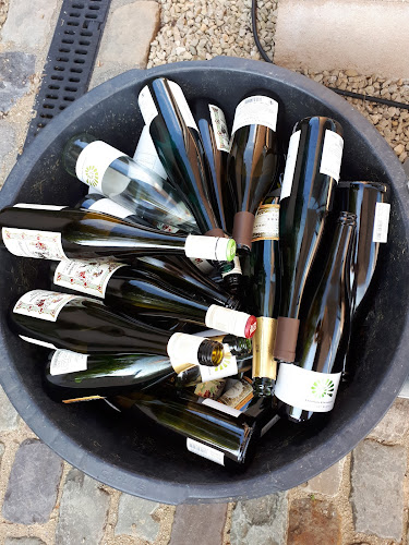 Paul Brasz-Wijnen - Horeca