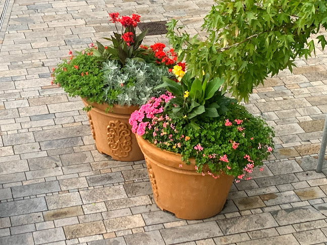 Teujib halal grill and snacks - Almere