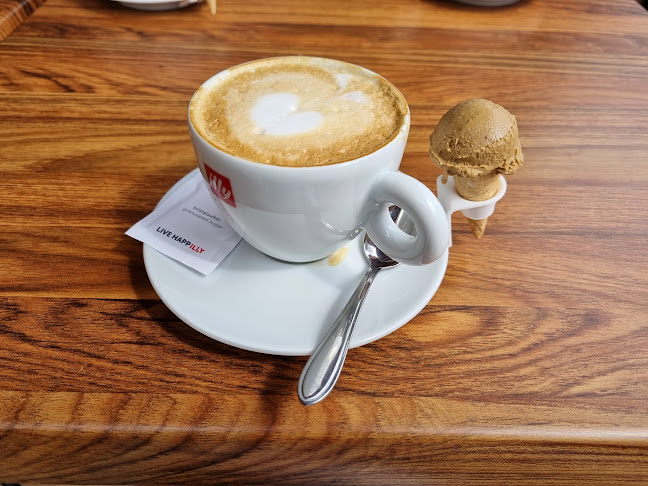 Comentarii opinii despre IJssalon La Dolce Borger