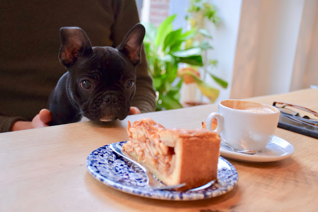 Comentarii opinii despre Het Koffielokaal