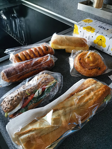 Comentarii opinii despre BackWerk