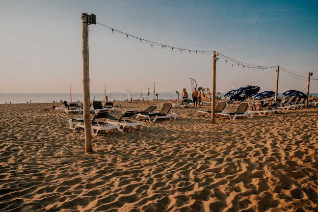 Buena Vista Beach Club - Horeca