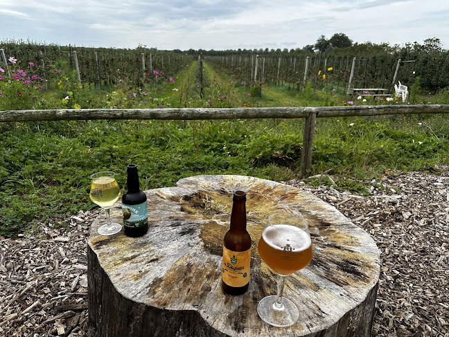 Prinsenmaatweg 3, 7224 NE Rha