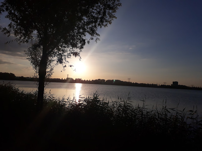 Opinii despre Danone Nederland B.V. în Utrecht - Horeca