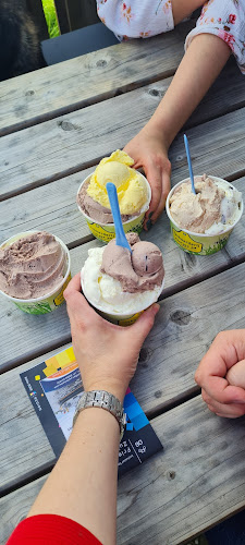 IJsboerderij Margje 24 - Workum