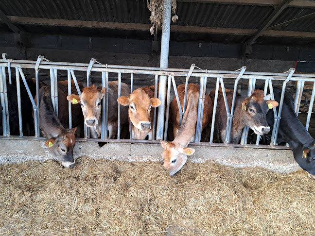 De IJskuip/Erve Kuiper