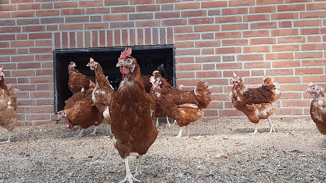 Malpie Hoeve Phone number