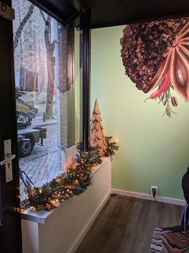 Visser Chocolade & Ijs Maastricht OLVPlein Open Times