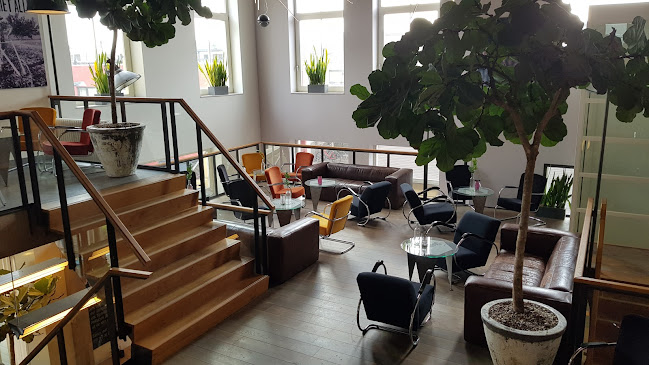 Comentarii opinii despre De Graancirkel