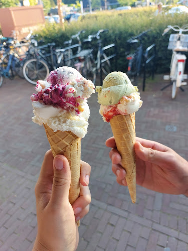 De IJswinckel Dordrecht Phone number