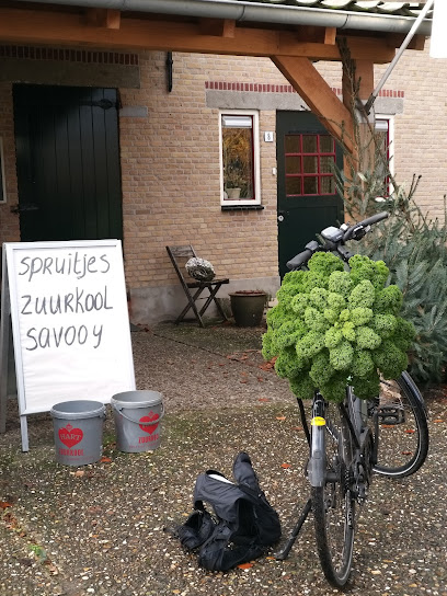 Groenten van de Boer