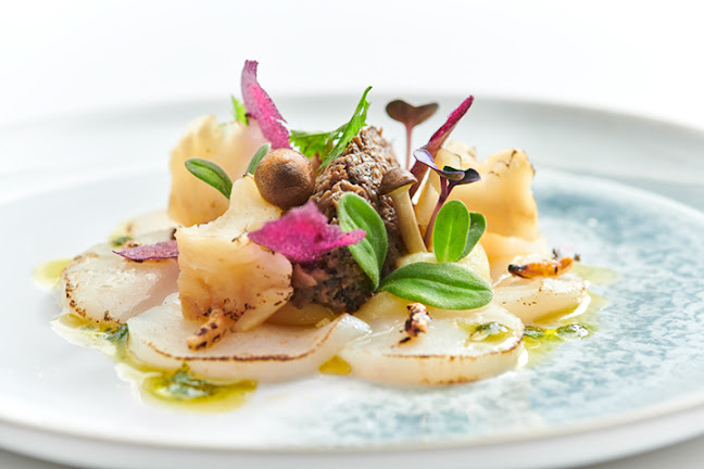 Opinii despre Restaurant STER în Rotterdam - Horeca