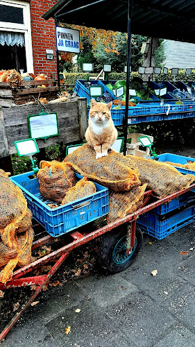Groente en Akkerbouwbedrijf Groenteboerinnetje