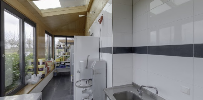 Comentarii opinii despre Pannenkoeken Paradijs Haarlem