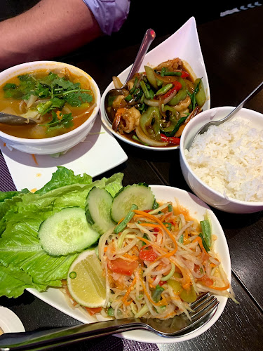 Comentarii opinii despre Thaicoon B.V.