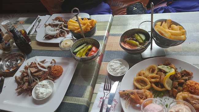 Comentarii opinii despre Minos Pallas