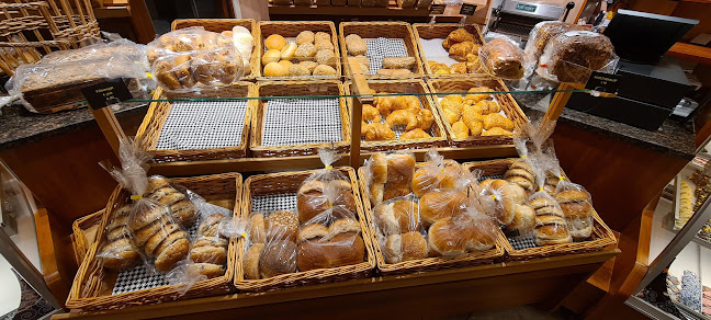 Comentarii opinii despre Bakker op 43 - Jos Knippenborg