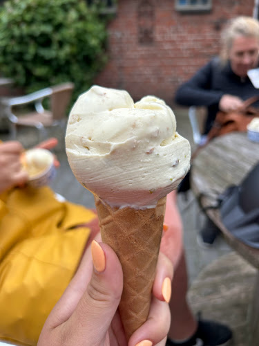 Lyts Buthus - Horeca